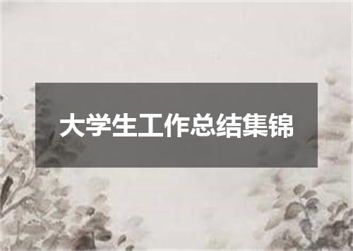 大学生工作总结集锦