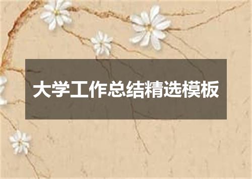 大学工作总结精选模板
