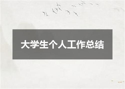 大学生个人工作总结