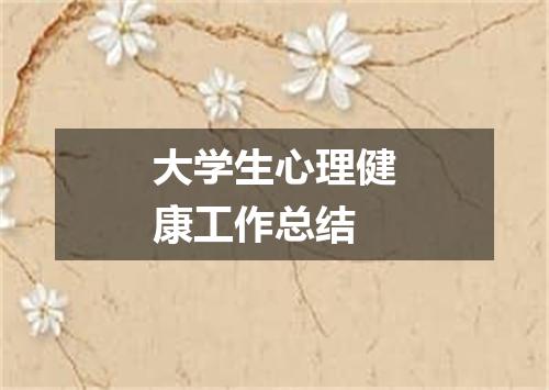 大学生心理健康工作总结
