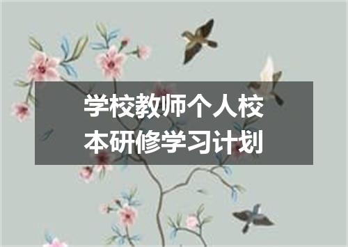 学校教师个人校本研修学习计划