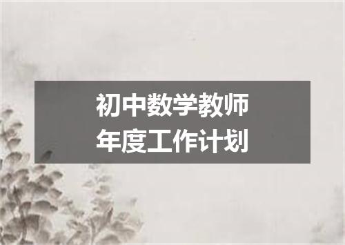初中数学教师年度工作计划
