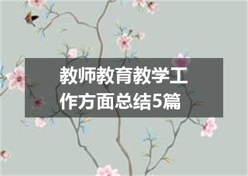 教师教育教学工作方面总结5篇