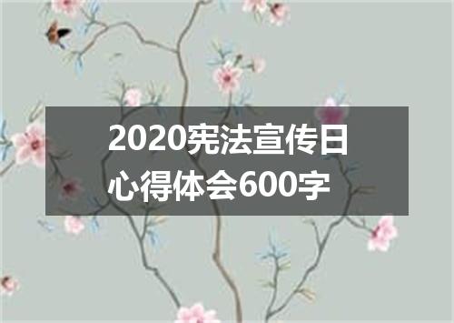 2020宪法宣传日心得体会600字