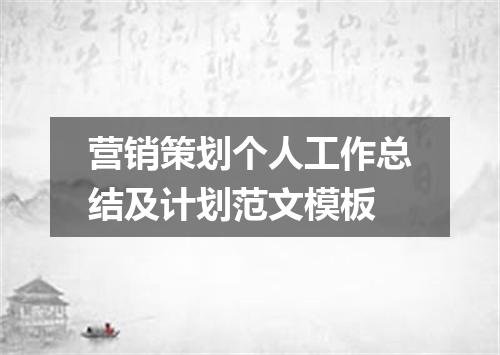 营销策划个人工作总结及计划范文模板
