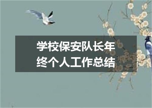 学校保安队长年终个人工作总结