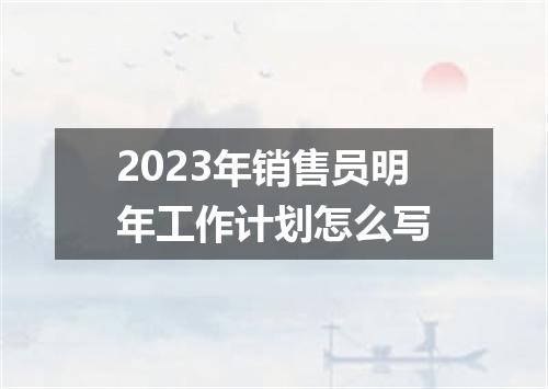 2023年销售员明年工作计划怎么写