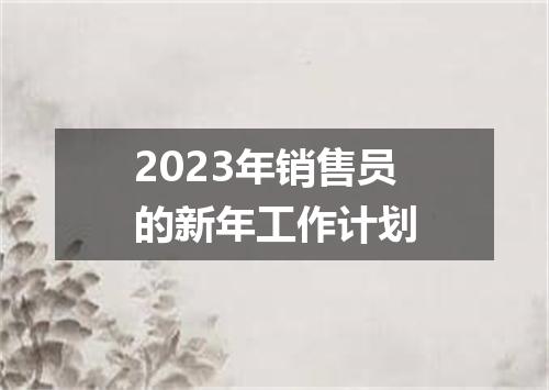 2023年销售员的新年工作计划
