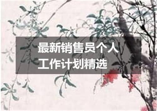 最新销售员个人工作计划精选