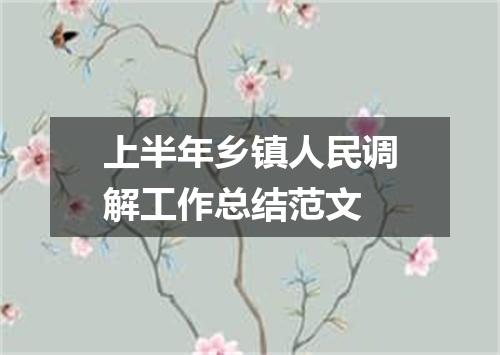 上半年乡镇人民调解工作总结范文