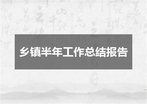乡镇半年工作总结报告