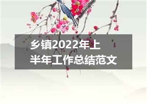 乡镇2022年上半年工作总结范文