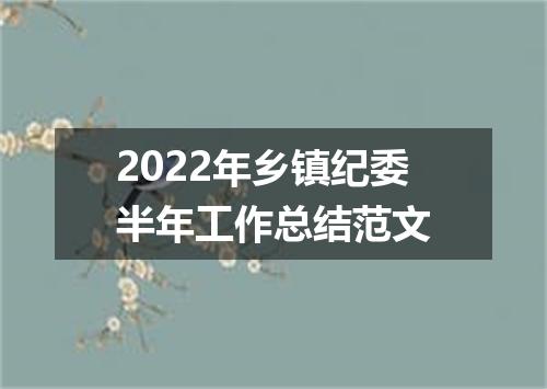 2022年乡镇纪委半年工作总结范文