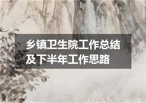 乡镇卫生院工作总结及下半年工作思路