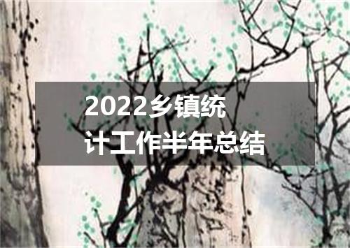 2022乡镇统计工作半年总结
