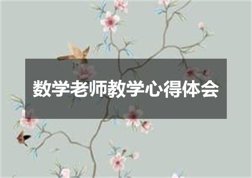 数学老师教学心得体会
