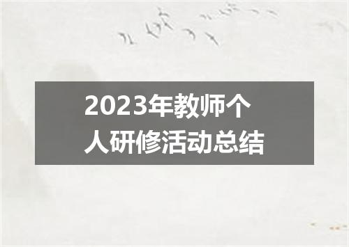 2023年教师个人研修活动总结