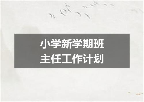 小学新学期班主任工作计划