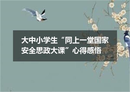 大中小学生“同上一堂国家安全思政大课”心得感悟