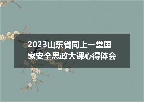 2023山东省同上一堂国家安全思政大课心得体会