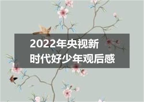 2022年央视新时代好少年观后感