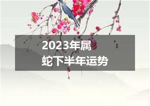 2023年属蛇下半年运势