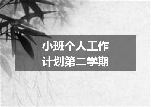 小班个人工作计划第二学期