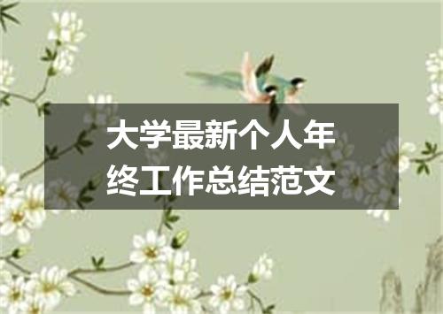 大学最新个人年终工作总结范文