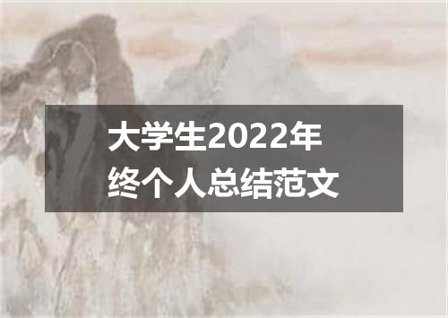 大学生2022年终个人总结范文