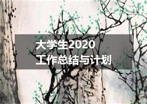 大学生2020工作总结与计划