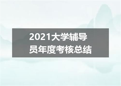 2021大学辅导员年度考核总结
