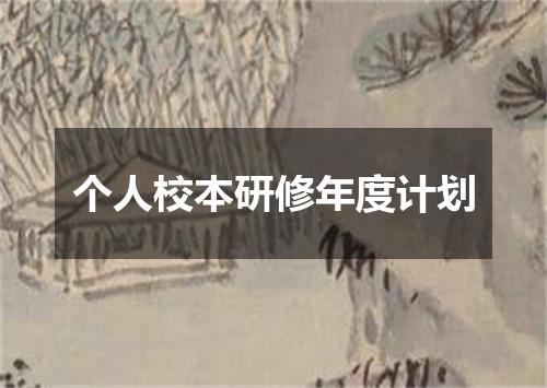 个人校本研修年度计划