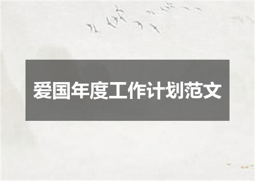 爱国年度工作计划范文