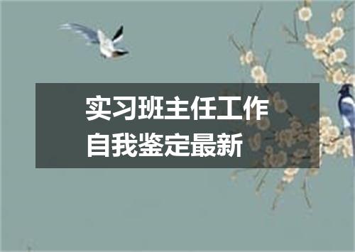 实习班主任工作自我鉴定最新