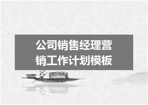 公司销售经理营销工作计划模板