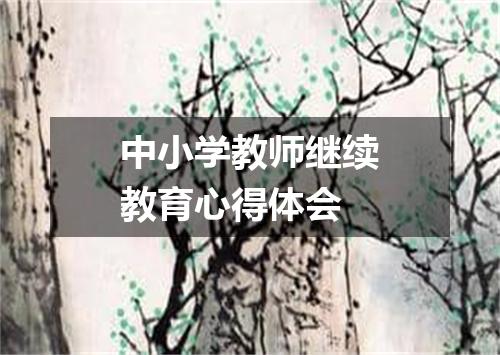 中小学教师继续教育心得体会