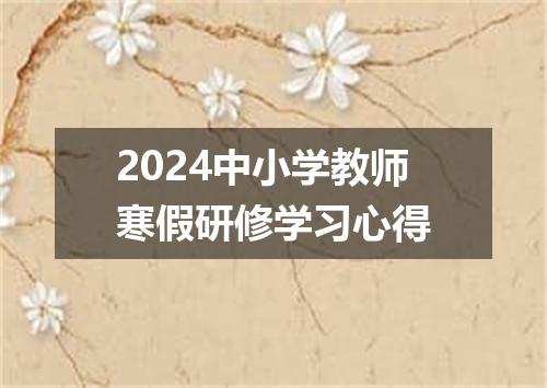 2024中小学教师寒假研修学习心得