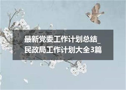 最新党委工作计划总结_民政局工作计划大全3篇