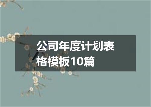 公司年度计划表格模板10篇