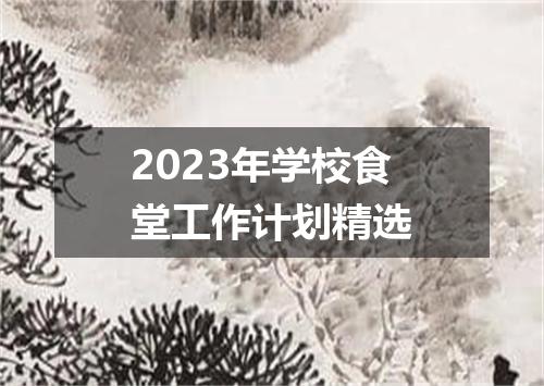2023年学校食堂工作计划精选