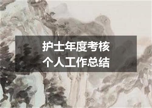 护士年度考核个人工作总结