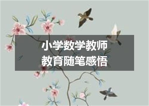 小学数学教师教育随笔感悟