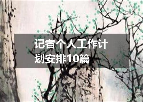 记者个人工作计划安排10篇
