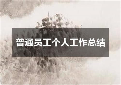 普通员工个人工作总结