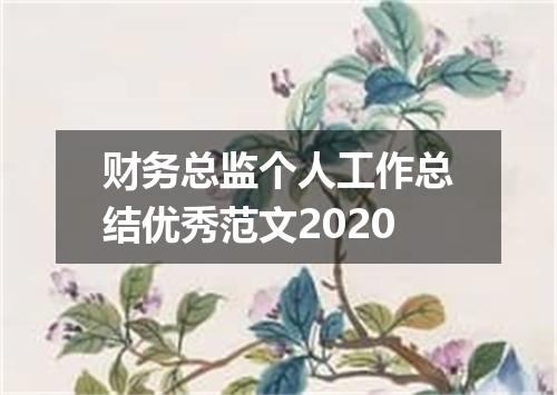 财务总监个人工作总结优秀范文2020