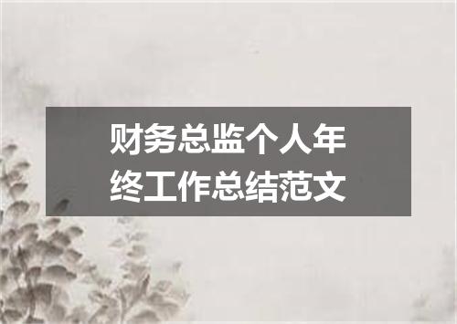 财务总监个人年终工作总结范文