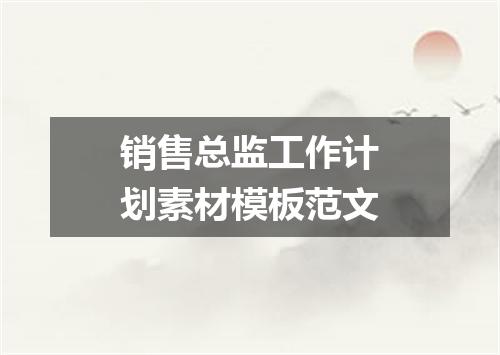 销售总监工作计划素材模板范文