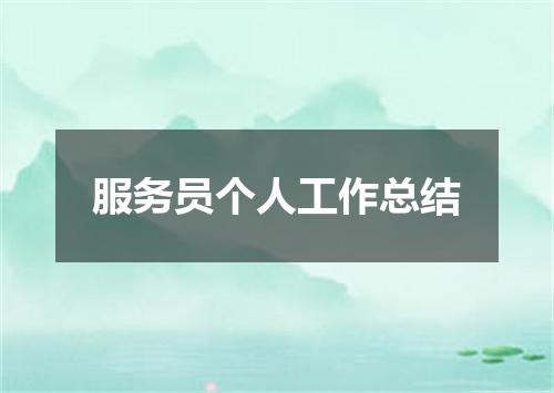 服务员个人工作总结