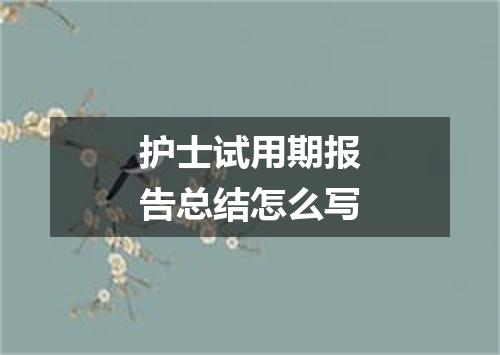 护士试用期报告总结怎么写