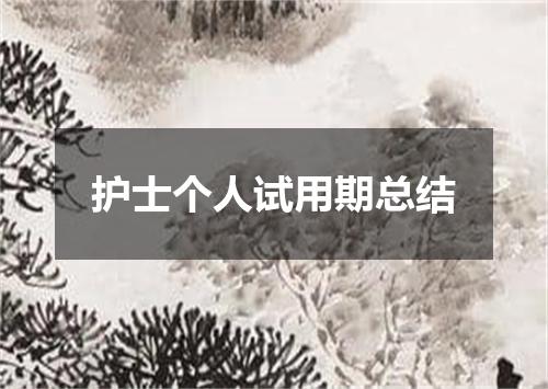 护士个人试用期总结